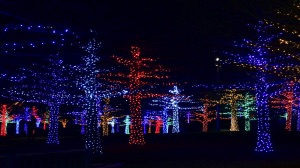 CHRISTMAS LIGHT TRAILS, ARE THEY THE FUTURE?